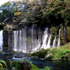 白糸の滝（静岡の方の）