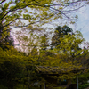 円通院