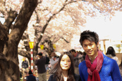 桜ポートレート