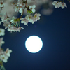 月明かり