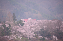 高遠