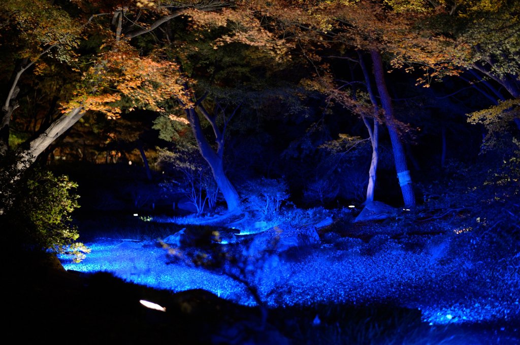 落ち葉の川