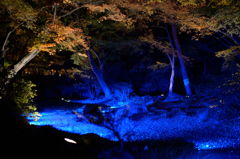 落ち葉の川