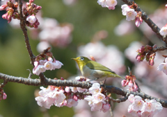 華やぐ中で