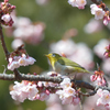 華やぐ中で