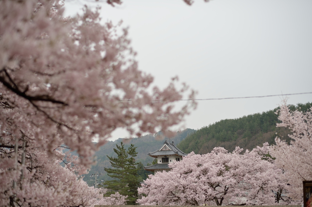 高遠城址