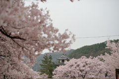 高遠城址