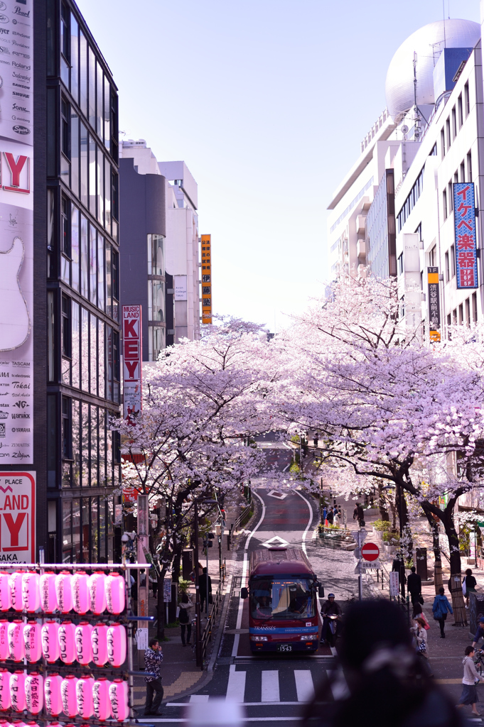 渋谷から