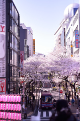 渋谷から
