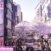 渋谷から