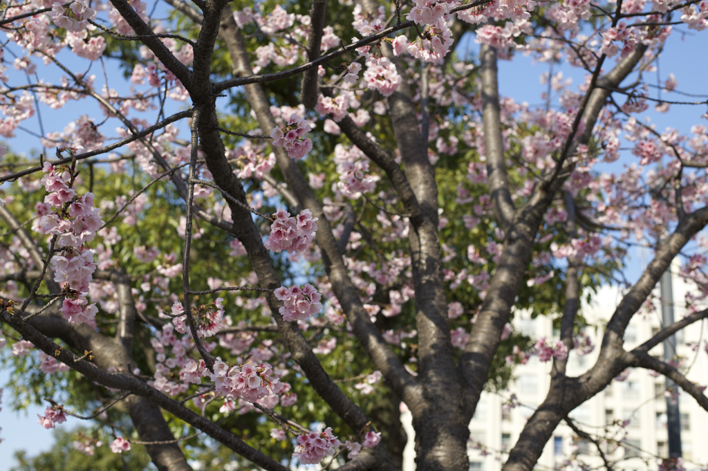 DSC_0135
