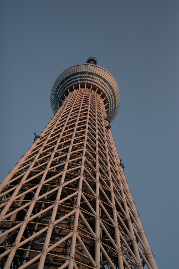 スカイツリー