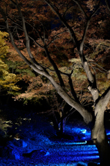 六義園