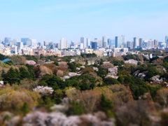 新宿御苑