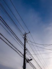 電線