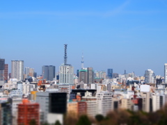遠くにスカイツリー