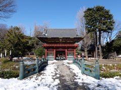 雪の根津神社