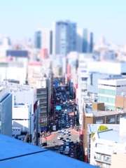 新宿の道路