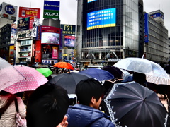 雨のスクランブル交差点