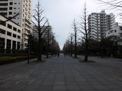 光が丘