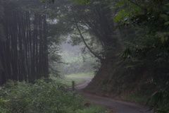 道