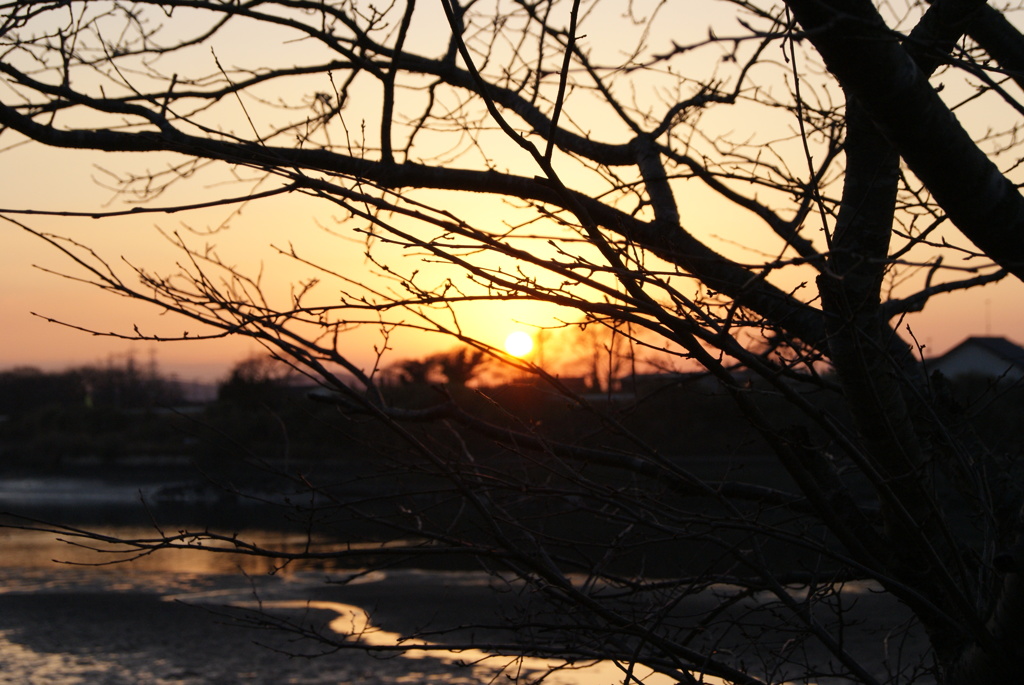 夕日④