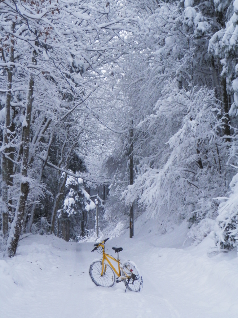 雪道