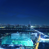Blue night