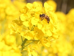 IMG_0114~01