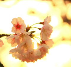 IMG_20140319_222702