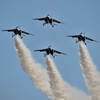 DCS_2009