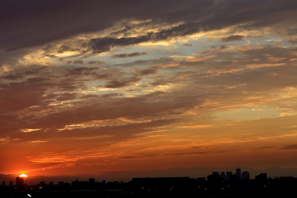 DSC_0544