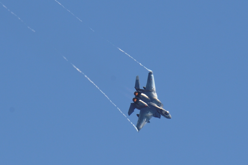 DCS_1738