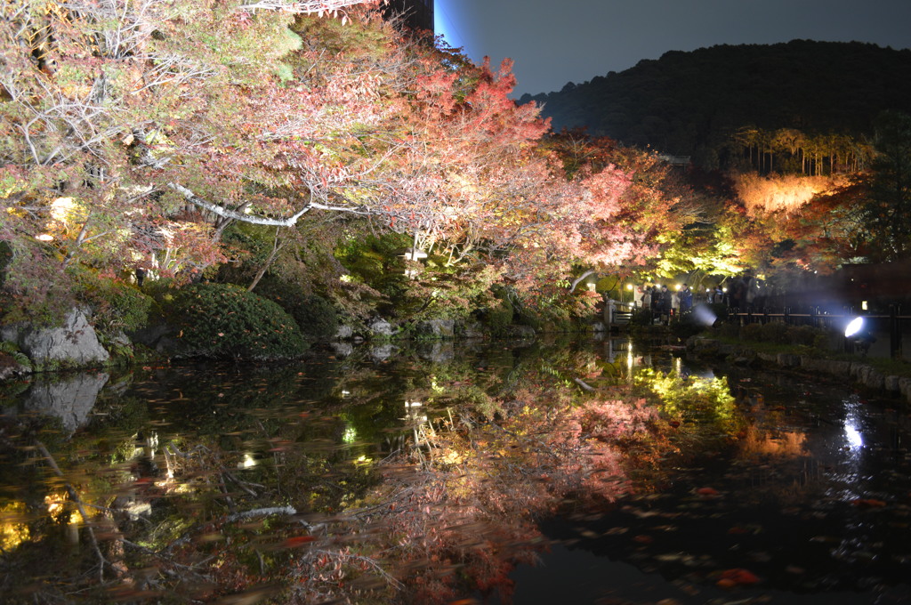 清水寺（庭園）　#2