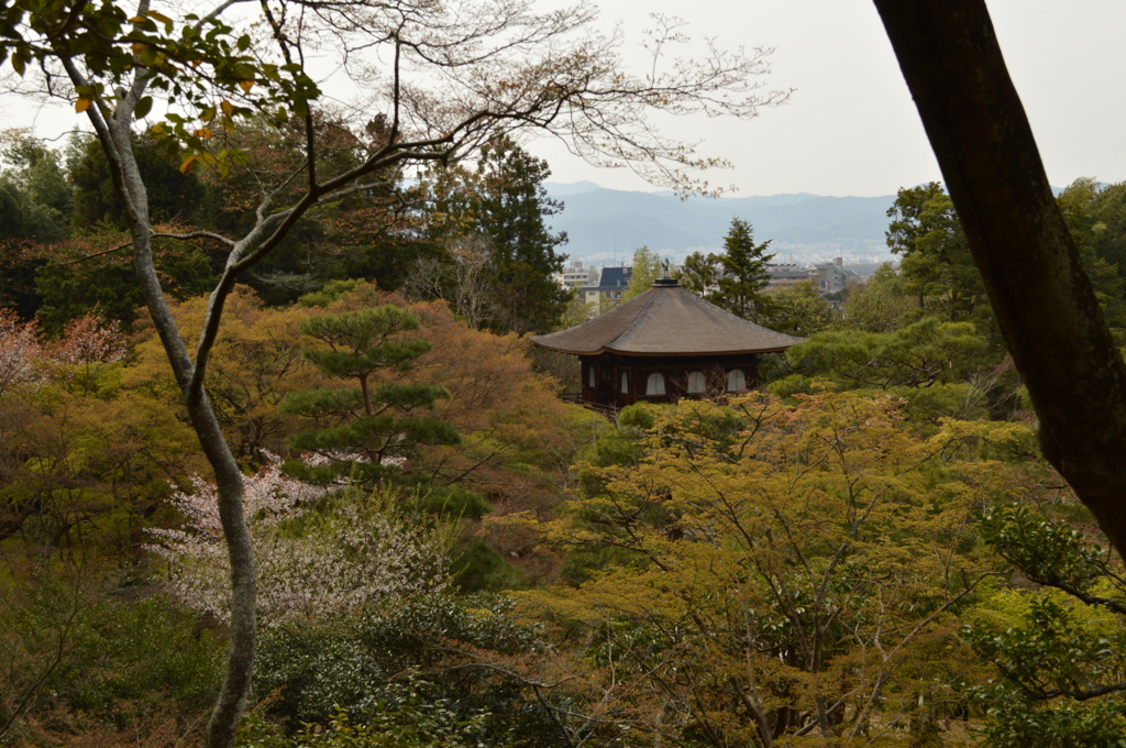 銀閣寺