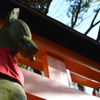 千本鳥居　#3