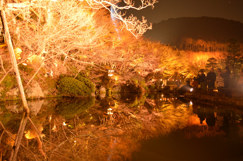 清水寺（庭園）