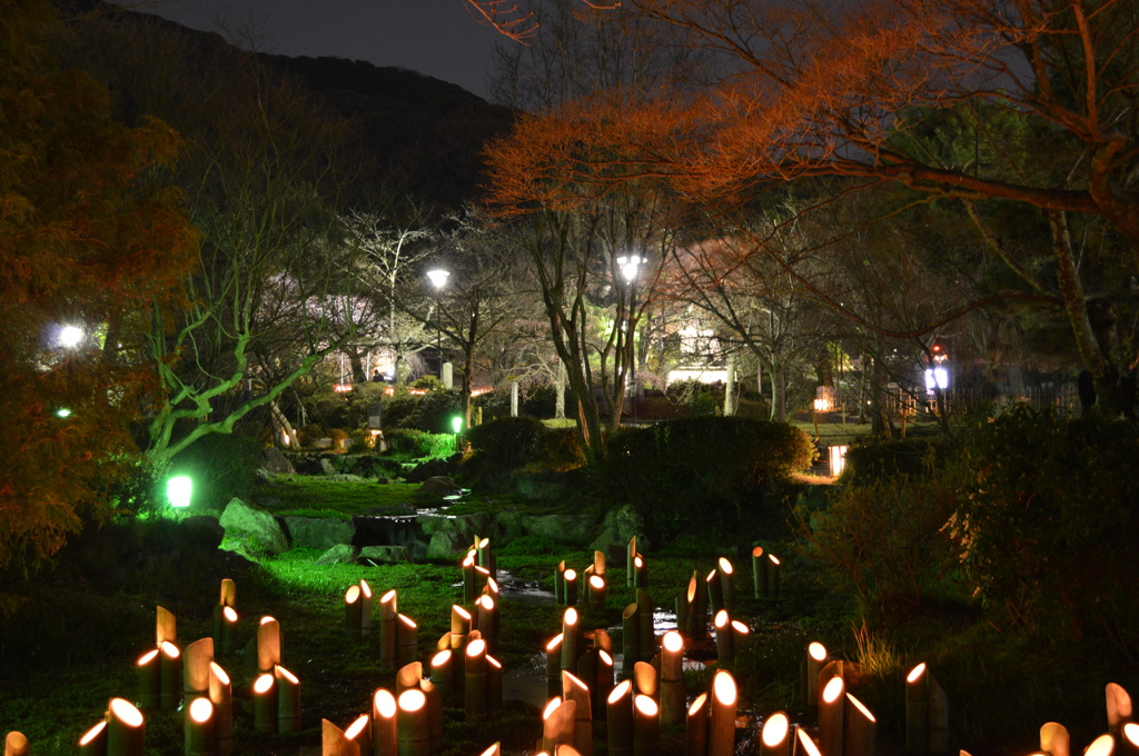 竹灯り・幽玄の川