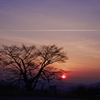 精九郎壇と山毛欅 そして夕陽に輝く飛行機雲