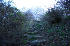 この階段を上って