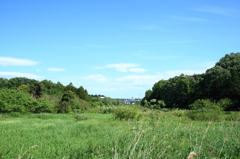田舎の風景