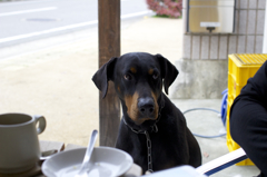 おまえらだけ食いやがって……。