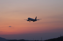 Sunset flight