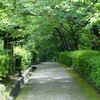 緑のトンネル