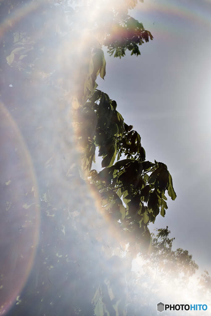 Helios44-2 (1)