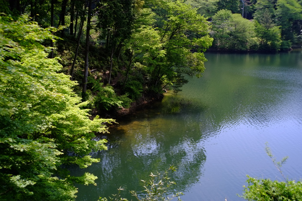 三河湖