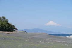 美保の松原からの富士山