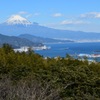 日本平からの富士山