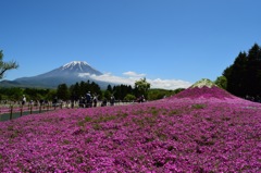 親子富士山