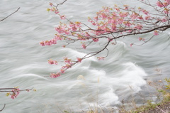 川の流れのように